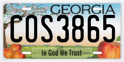 GA license plate COS3865