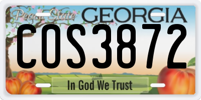 GA license plate COS3872