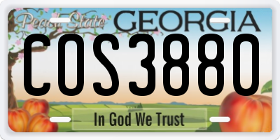 GA license plate COS3880