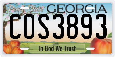 GA license plate COS3893