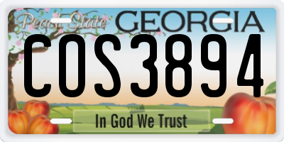 GA license plate COS3894