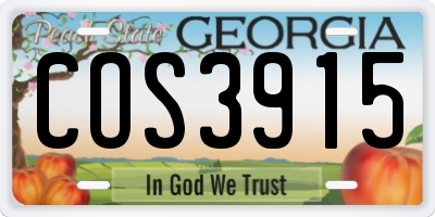 GA license plate COS3915