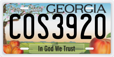 GA license plate COS3920