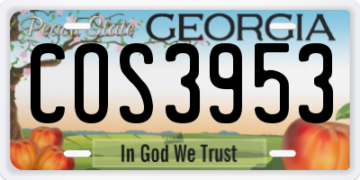 GA license plate COS3953