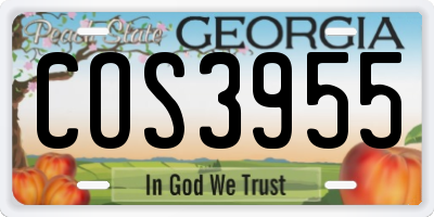 GA license plate COS3955