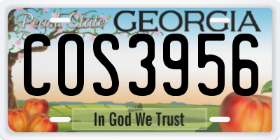 GA license plate COS3956