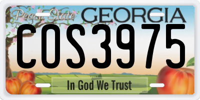 GA license plate COS3975