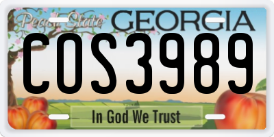 GA license plate COS3989