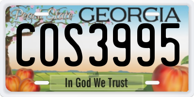 GA license plate COS3995