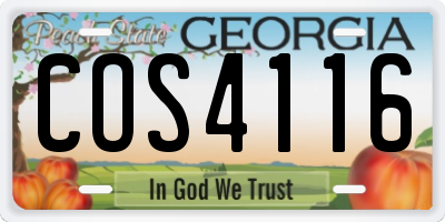 GA license plate COS4116