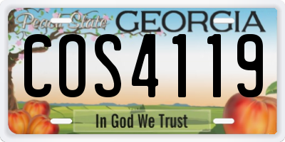 GA license plate COS4119