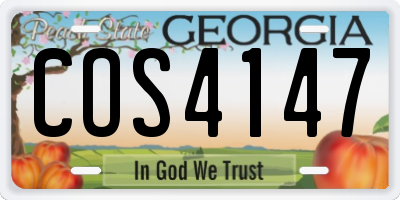 GA license plate COS4147