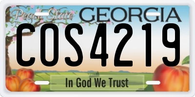 GA license plate COS4219