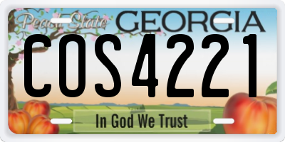 GA license plate COS4221