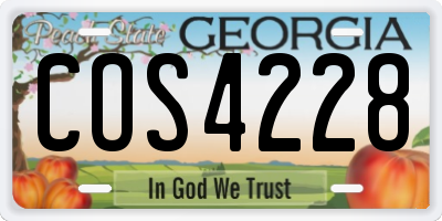 GA license plate COS4228