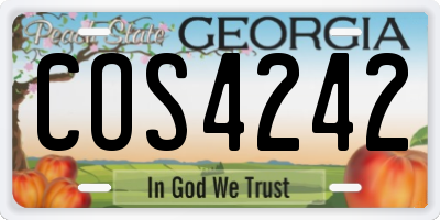 GA license plate COS4242