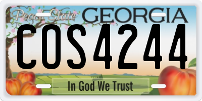 GA license plate COS4244
