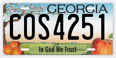 GA license plate COS4251
