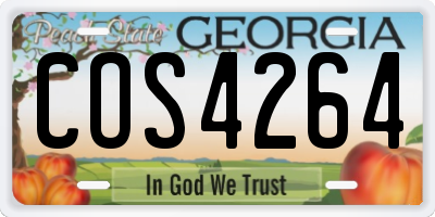 GA license plate COS4264