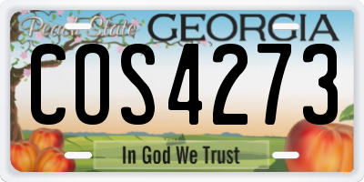 GA license plate COS4273