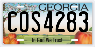 GA license plate COS4283