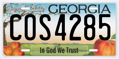 GA license plate COS4285