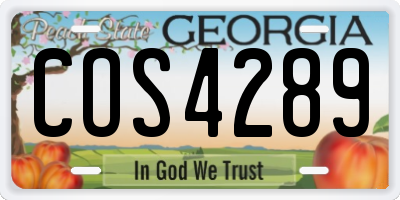 GA license plate COS4289