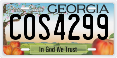GA license plate COS4299