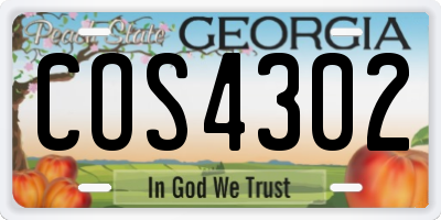 GA license plate COS4302