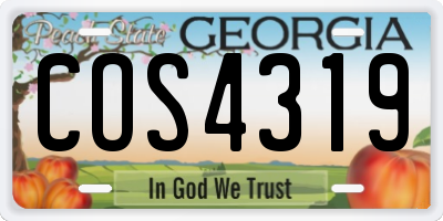 GA license plate COS4319