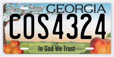 GA license plate COS4324