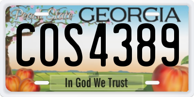 GA license plate COS4389