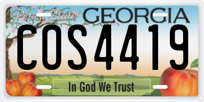 GA license plate COS4419