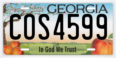GA license plate COS4599