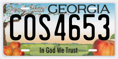 GA license plate COS4653