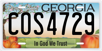 GA license plate COS4729