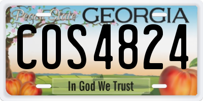 GA license plate COS4824