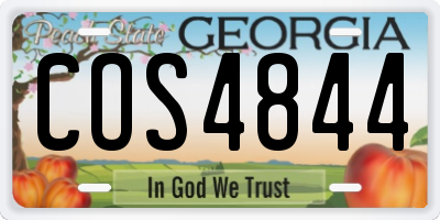 GA license plate COS4844