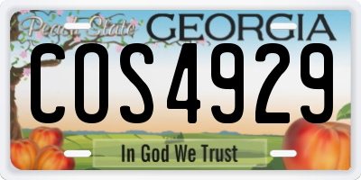 GA license plate COS4929