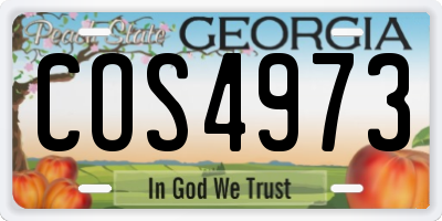 GA license plate COS4973