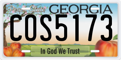 GA license plate COS5173