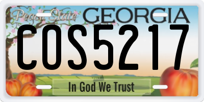 GA license plate COS5217