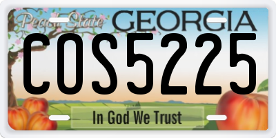GA license plate COS5225