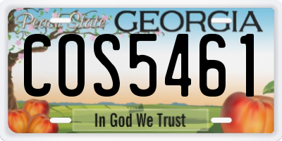 GA license plate COS5461