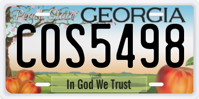 GA license plate COS5498