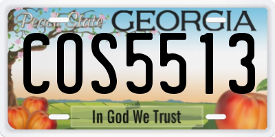 GA license plate COS5513