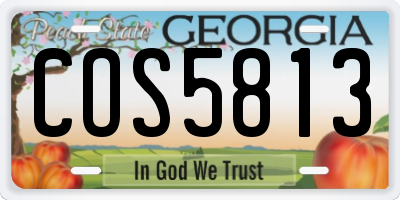 GA license plate COS5813