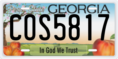 GA license plate COS5817