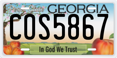 GA license plate COS5867
