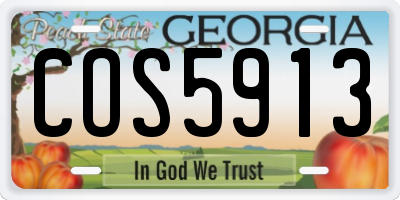 GA license plate COS5913